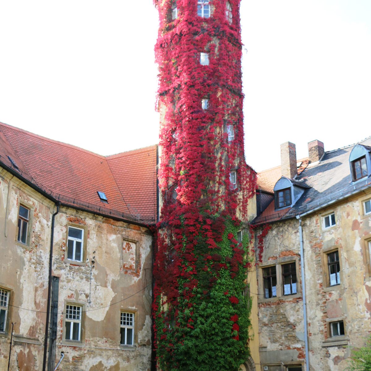 Lage - Ein- bis Zweifamilienhaus in 06722 Droyßig, ca. 50 km südwestlich von Leipzig